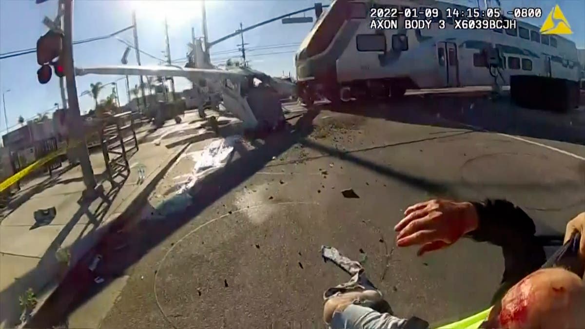 LA cops pull pilot from plane moments before train hits it