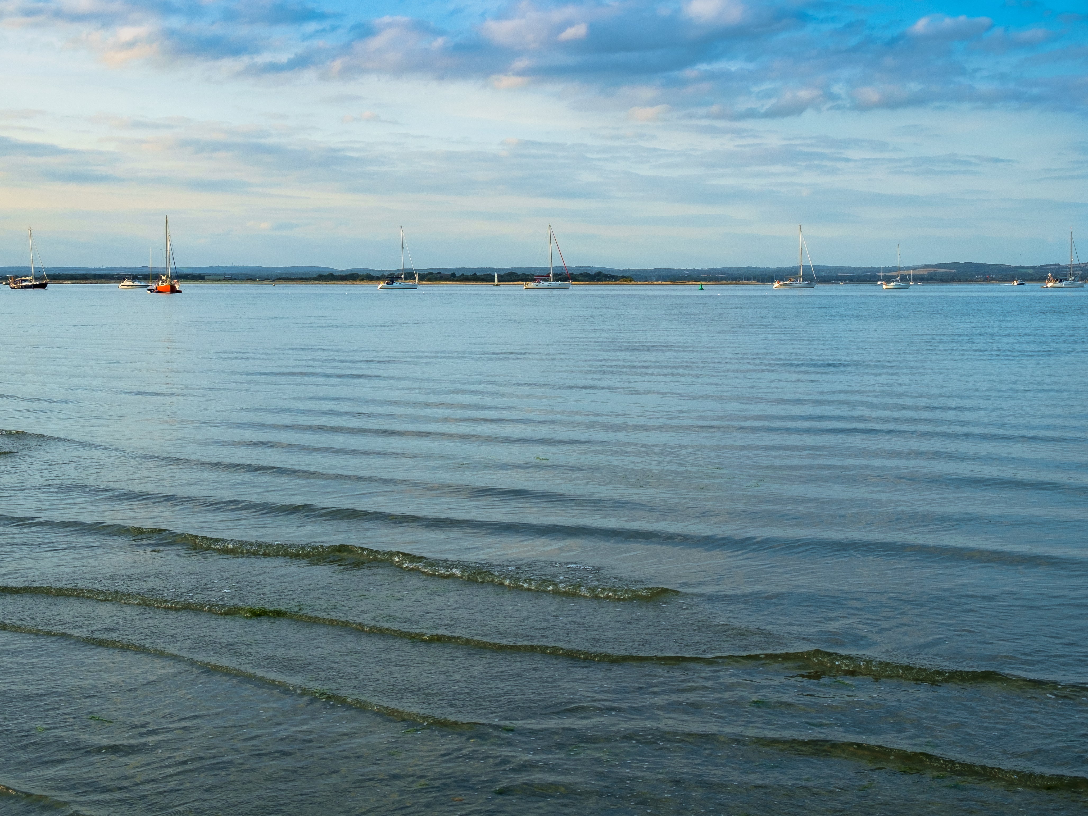 Vibrionen infektion ostsee