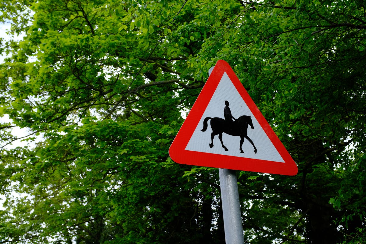 Two horses die and riders seriously injured after crash with van in Essex