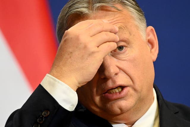 <p>Hungarian Prime Minister Viktor Orban </p>
