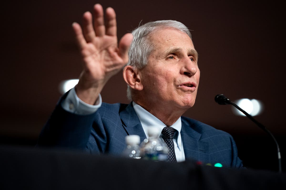 Fauci defends outburst after calling senator a ‘moron’ on hot mic