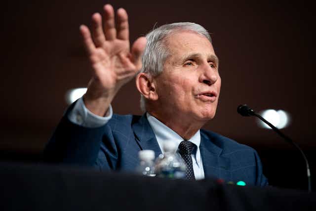 <p>White House chief medical adviser Anthony Fauci testifies at a Senate health, education, labour, and pensions committee hearing on Capitol Hill on 11 January 2022 in Washington, DC</p>