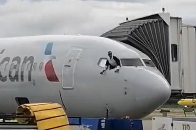 <p>Passenger attempts to climb out of window on AA flight</p>