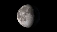 China builds ‘artificial moon’ to simulate low gravity inspired by a levitating frog