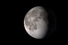 China builds ‘artificial moon’ to simulate low gravity inspired by a levitating frog