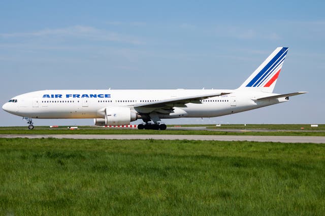 <p>An Air France plane at Paris Charles de Gaulle Airport</p>