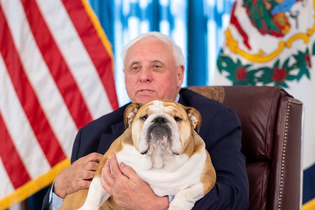 <p>West Virginia governor Jim Justice holds his English bulldog Babydog </p>