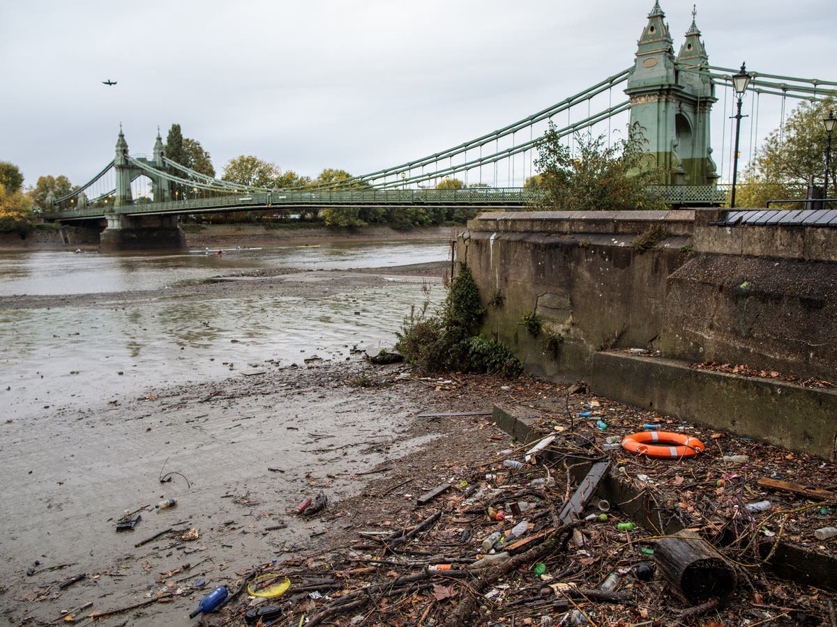 ‘Chemical cocktail’ of pollution in rivers risk to public health, MPs warn