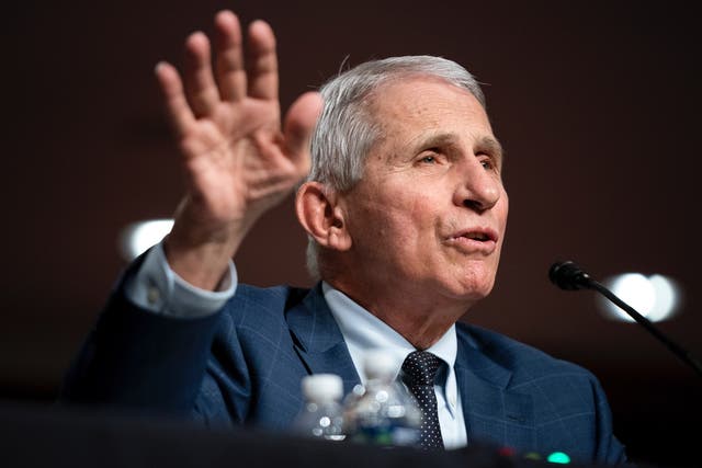 <p>Dr Anthony Fauci on Tuesday </p>