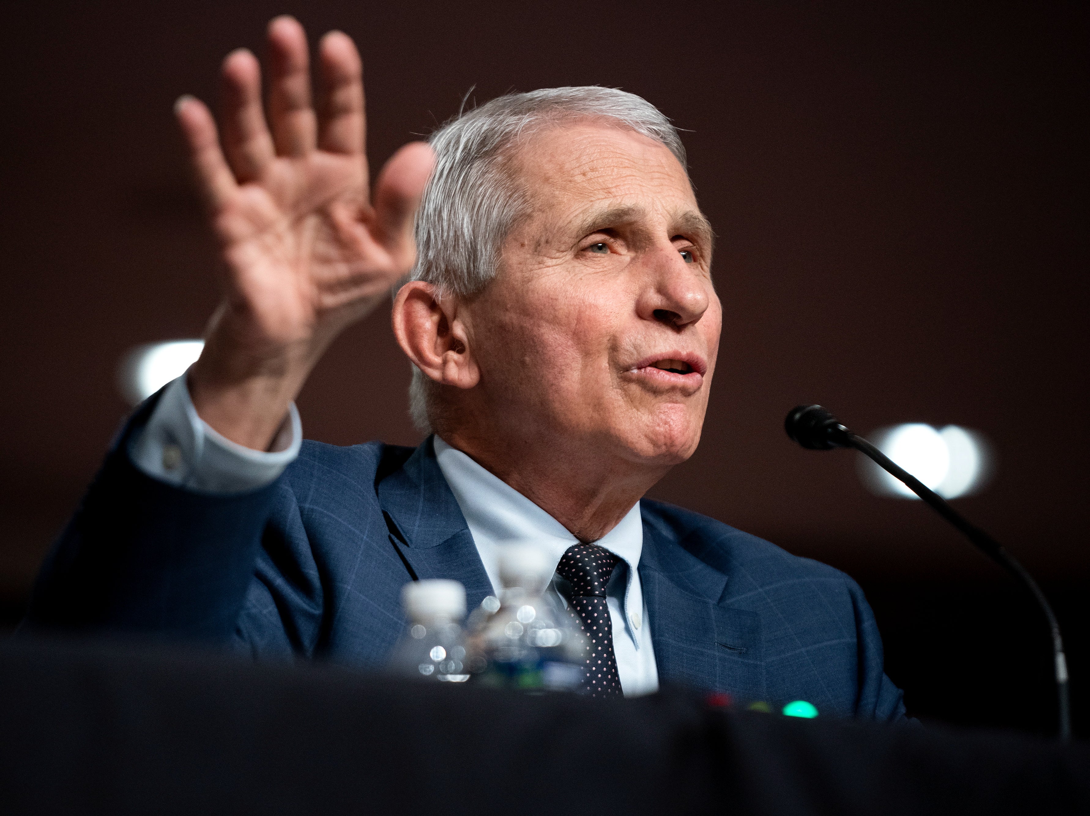 Fauci was exasperated at the lack of knowledge displayed by a senator