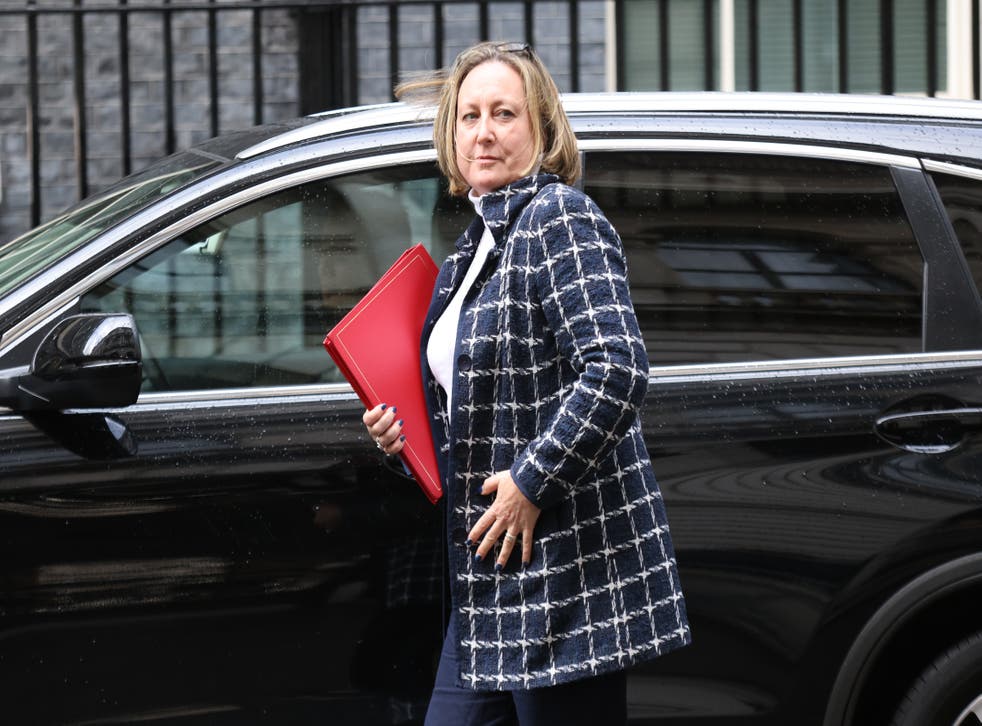 <p>Trade secretary Anne-Marie Trevelyan had urged her counterpart in Washington to jump on a plane   </p>