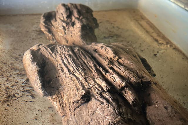 <p>The model, cut from a single piece of wood, 67cm tall and 18cm wide, was found by archaeologists in a Roman ditch in a field in Twyford, Buckinghamshire</p>