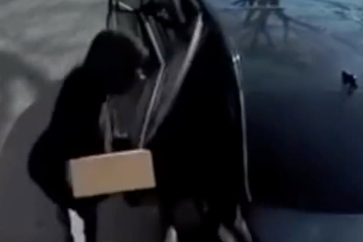 Chilling footage captures burglars disguised as Amazon workers | The ...