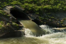 Water companies may be taking the pee but I’m the one left bathing in it