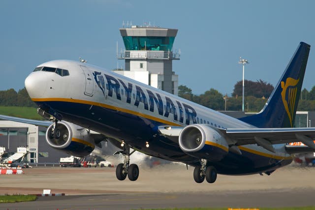 <p>A Ryanair Boeing 737-800</p>