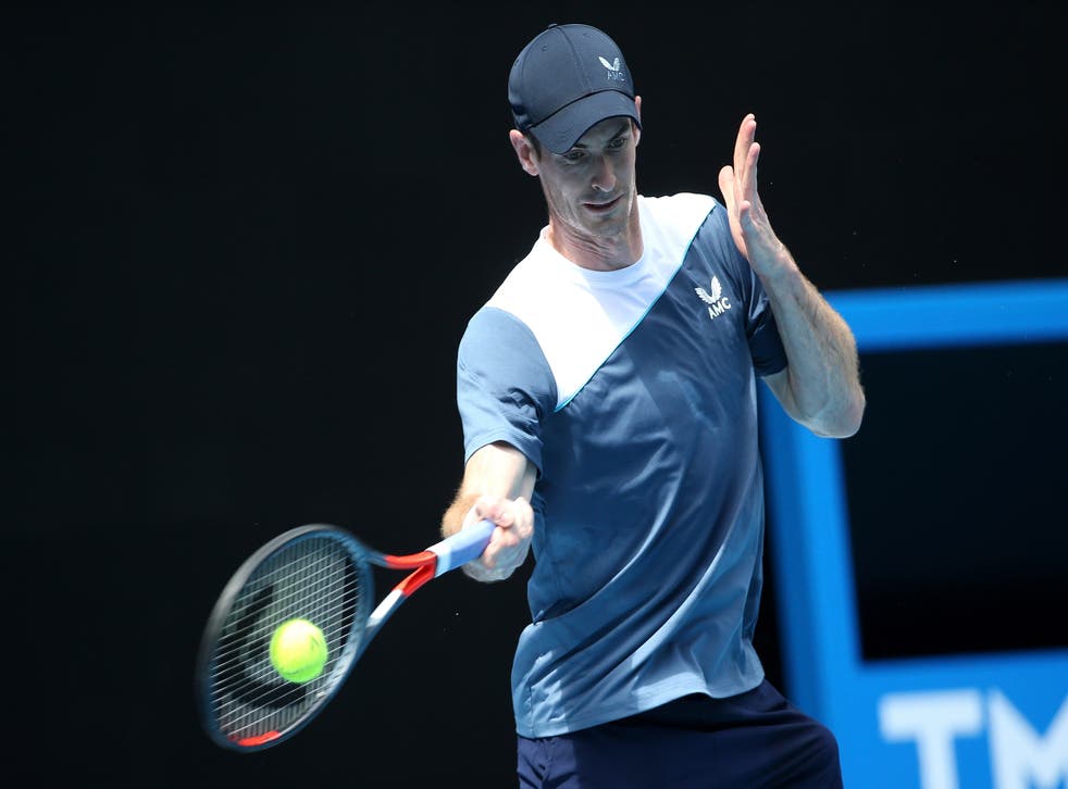 <p>Andy Murray is through to the final of the Sydney Tennis Classic (Hamish Blair/AP)</p>