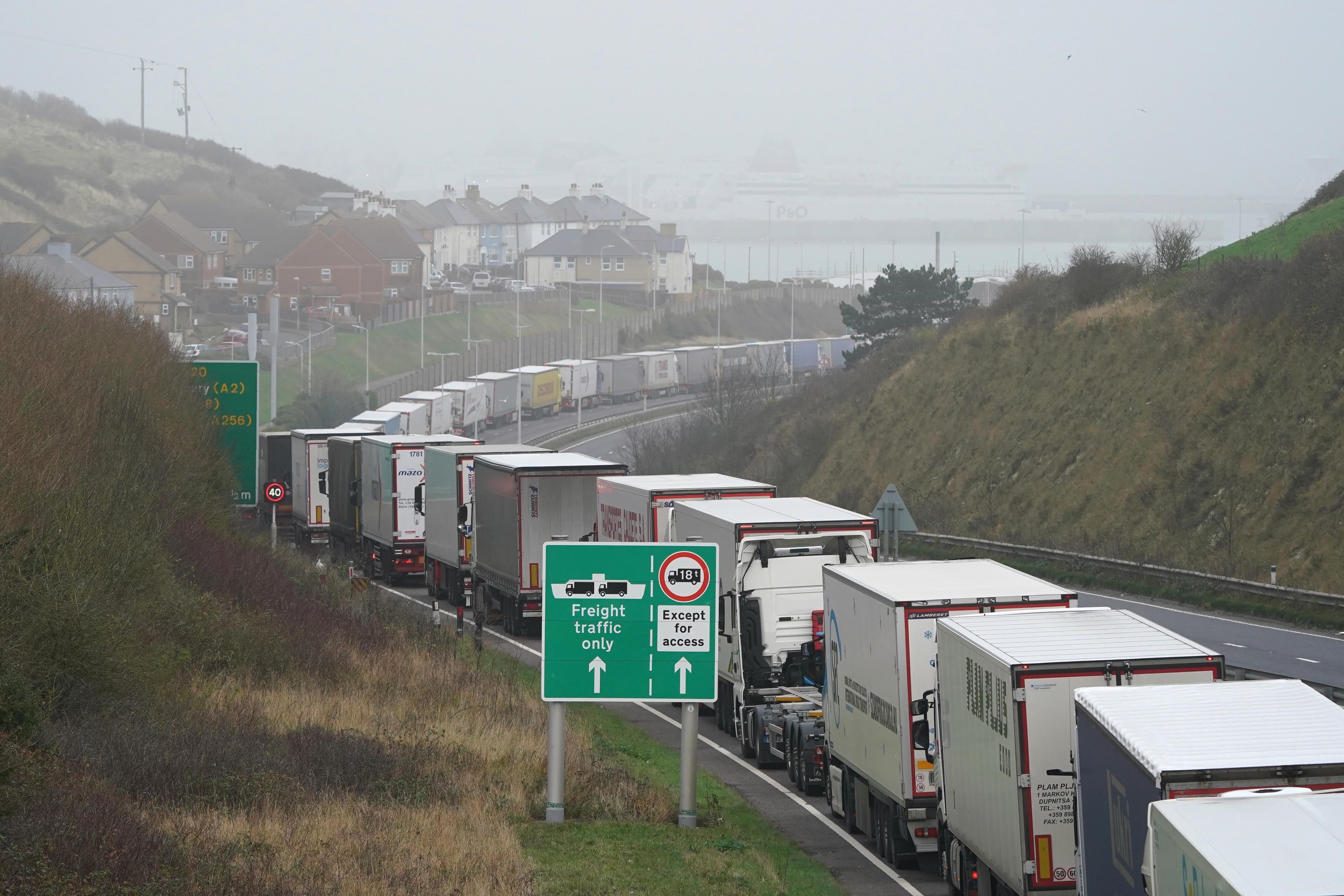 Disruption at Dover can lead to lorries queuing on the M20 (Gareth Fuller/PA)