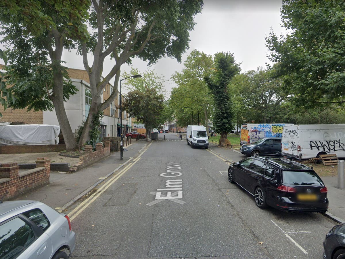 Hunt for rapists who attacked teenager in London alleyway