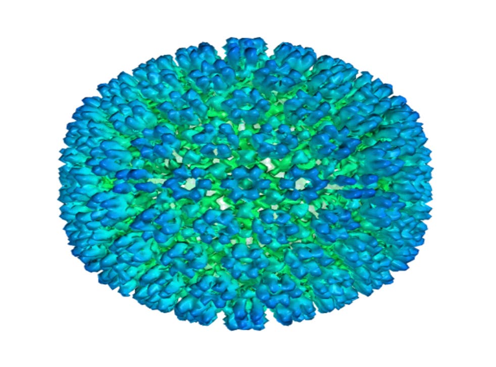 ESCLEROSIS MÚLTIPLE-VIRUS