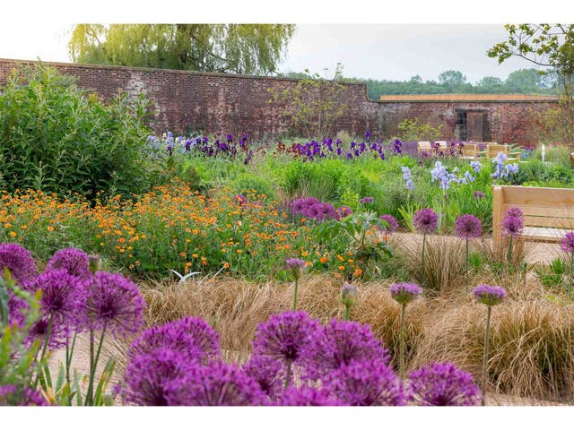 Best places to buy plants 2025: Online garden centres and nurseries ...
