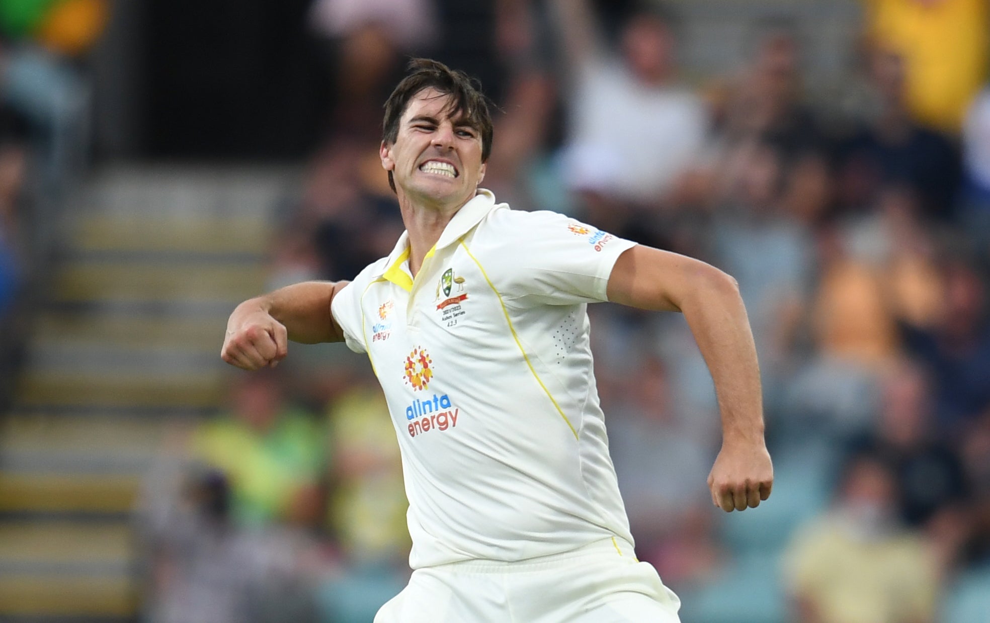 Australia captain Pat Cummins celebrates trapping England captain Joe Root lbw.