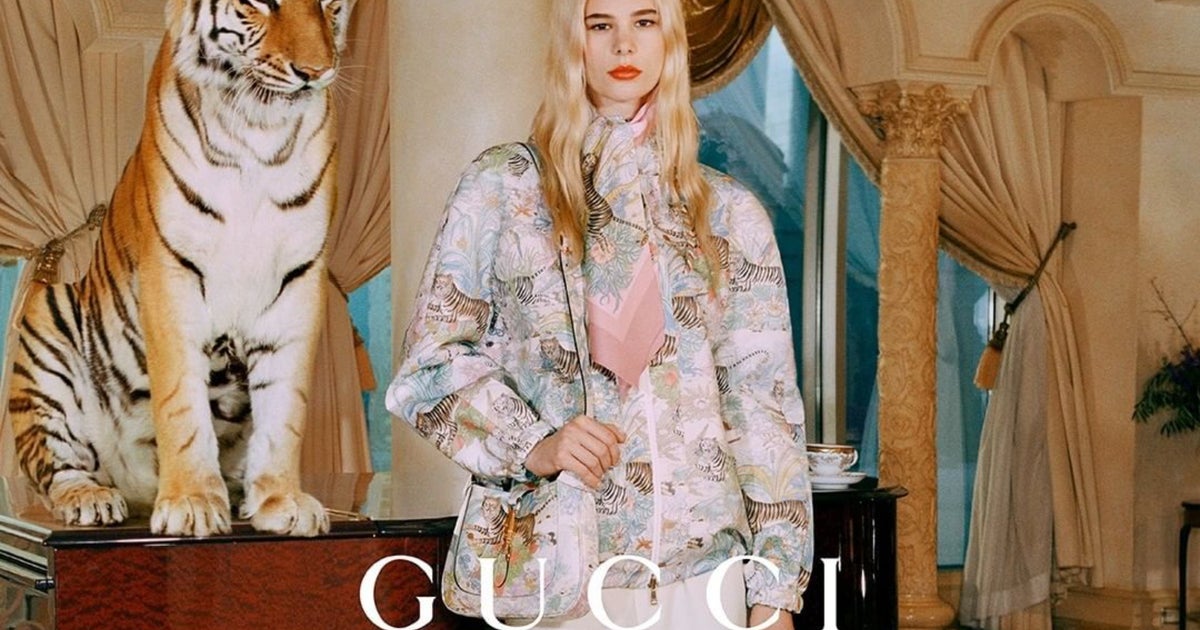 Gucci tiger pet Clearance