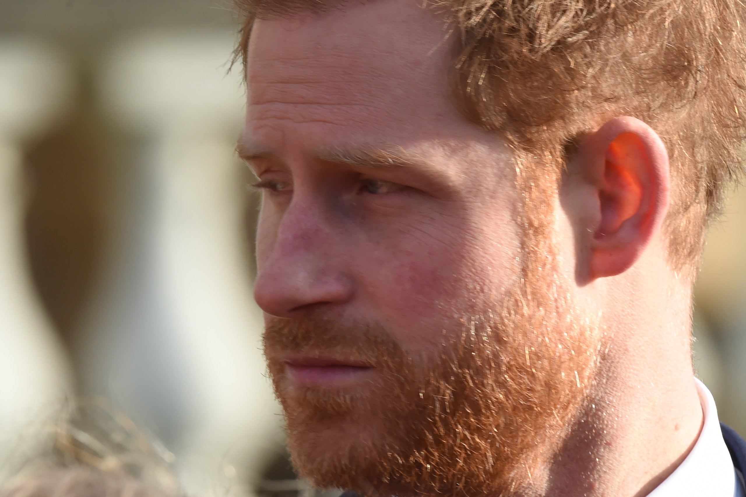 The Duke of Sussex (PA Archive)