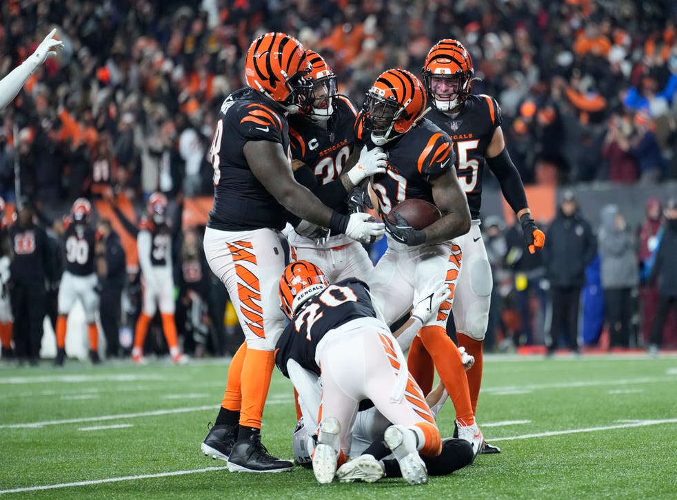 Cincinnati Bengals celebrate the game-ending interception (AJ Mast/AP)
