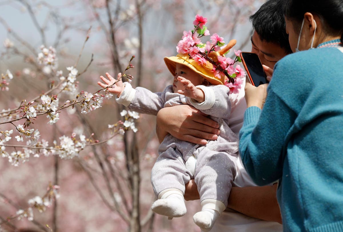 China’s population falls for the first time in 60 years