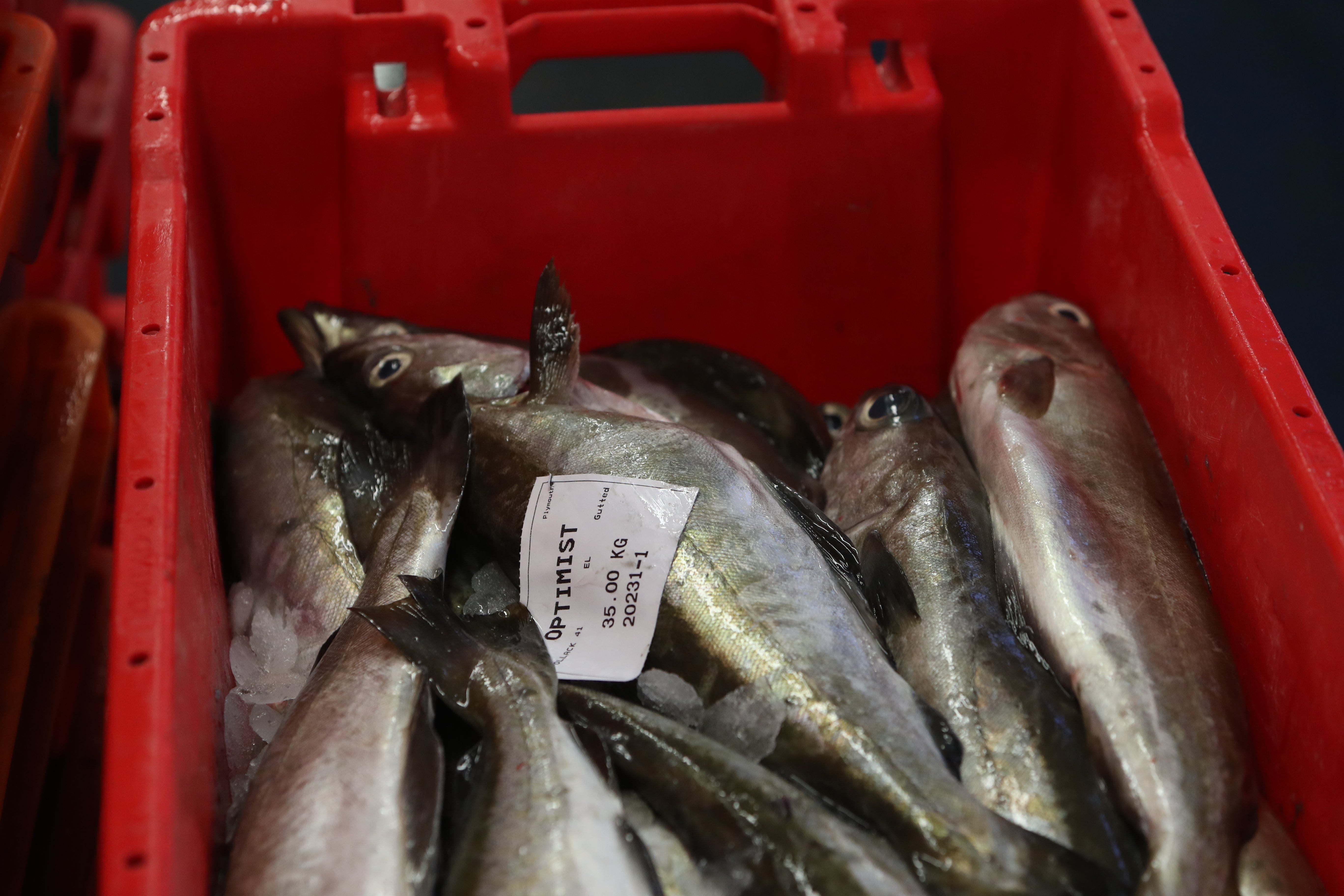 The Scottish Fishermen’s Federation has called for engagement with the industry over the projects (Steve Parsons/PA)