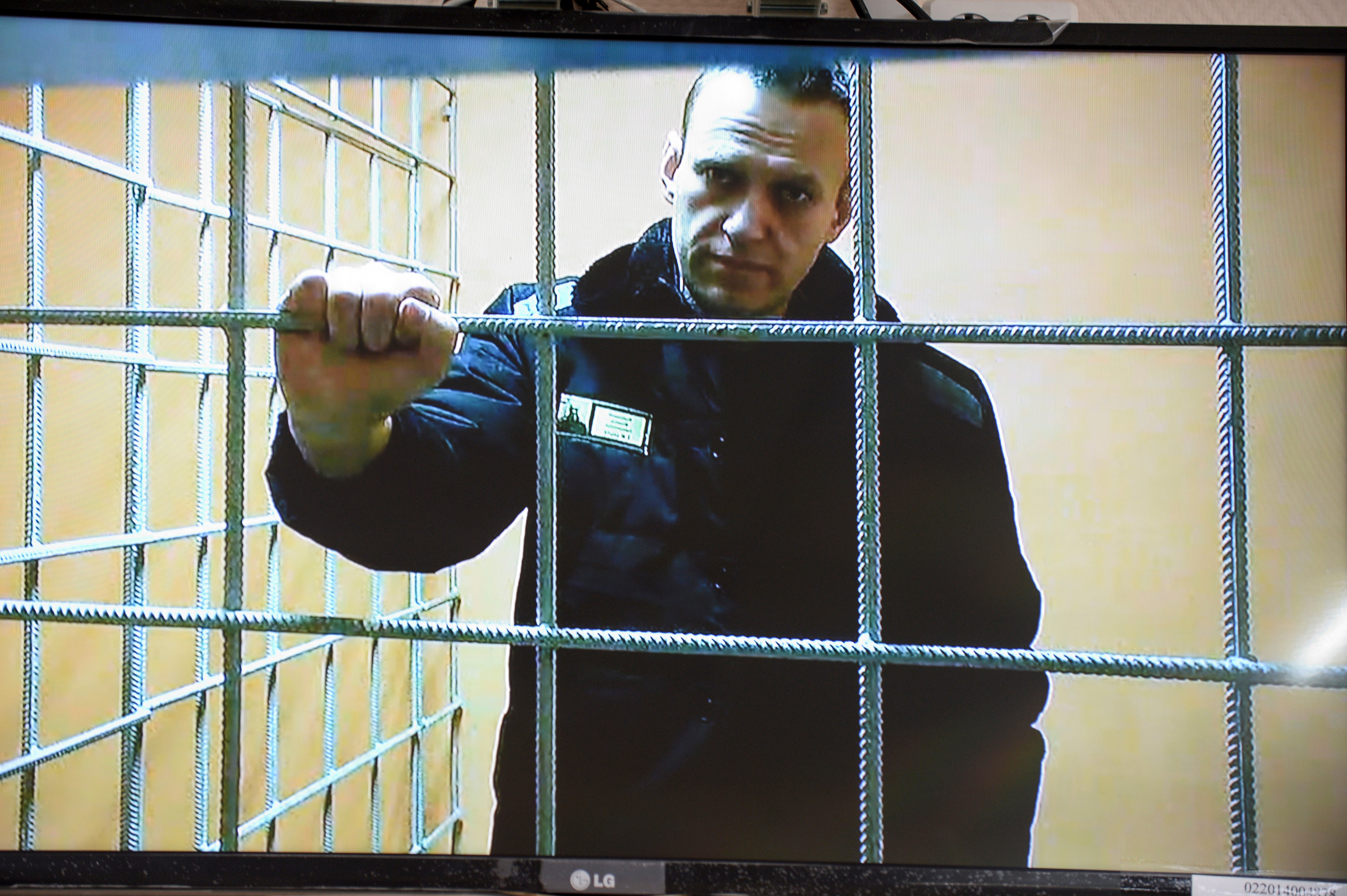 Alexei Navalny in prison