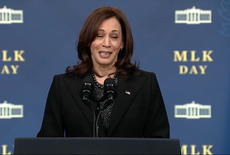 ‘We must not give up’: Kamala Harris marks MLK Day with plea to keep fighting for voting rights