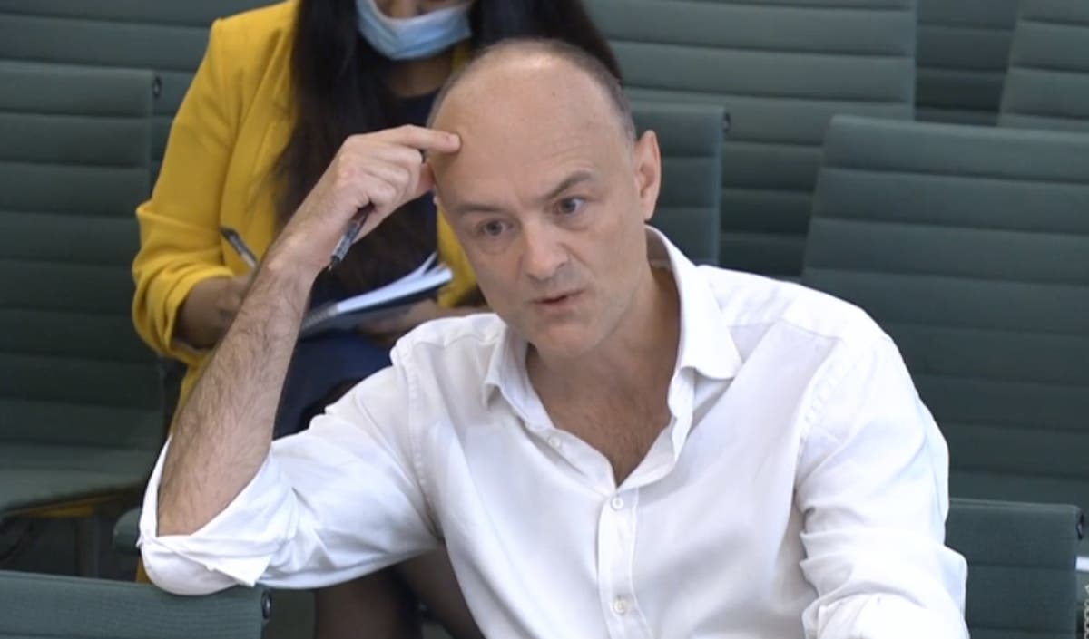 Dominic Cummings would &lsquo;swear under oath&rsquo; PM lied to Parliament on parties