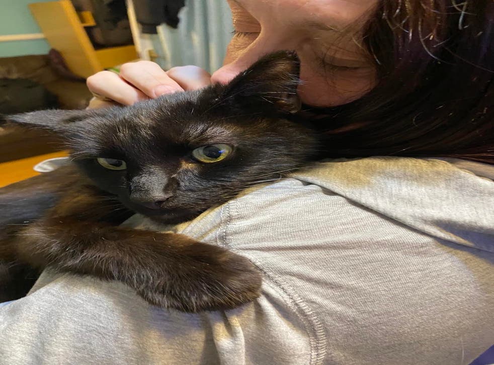 Rachael Lawrence, 40, of Braintree in Essex, was reunited with her missing cat Barnaby after recognising his meow during a phone call (Rachael Lawrence/ PA)