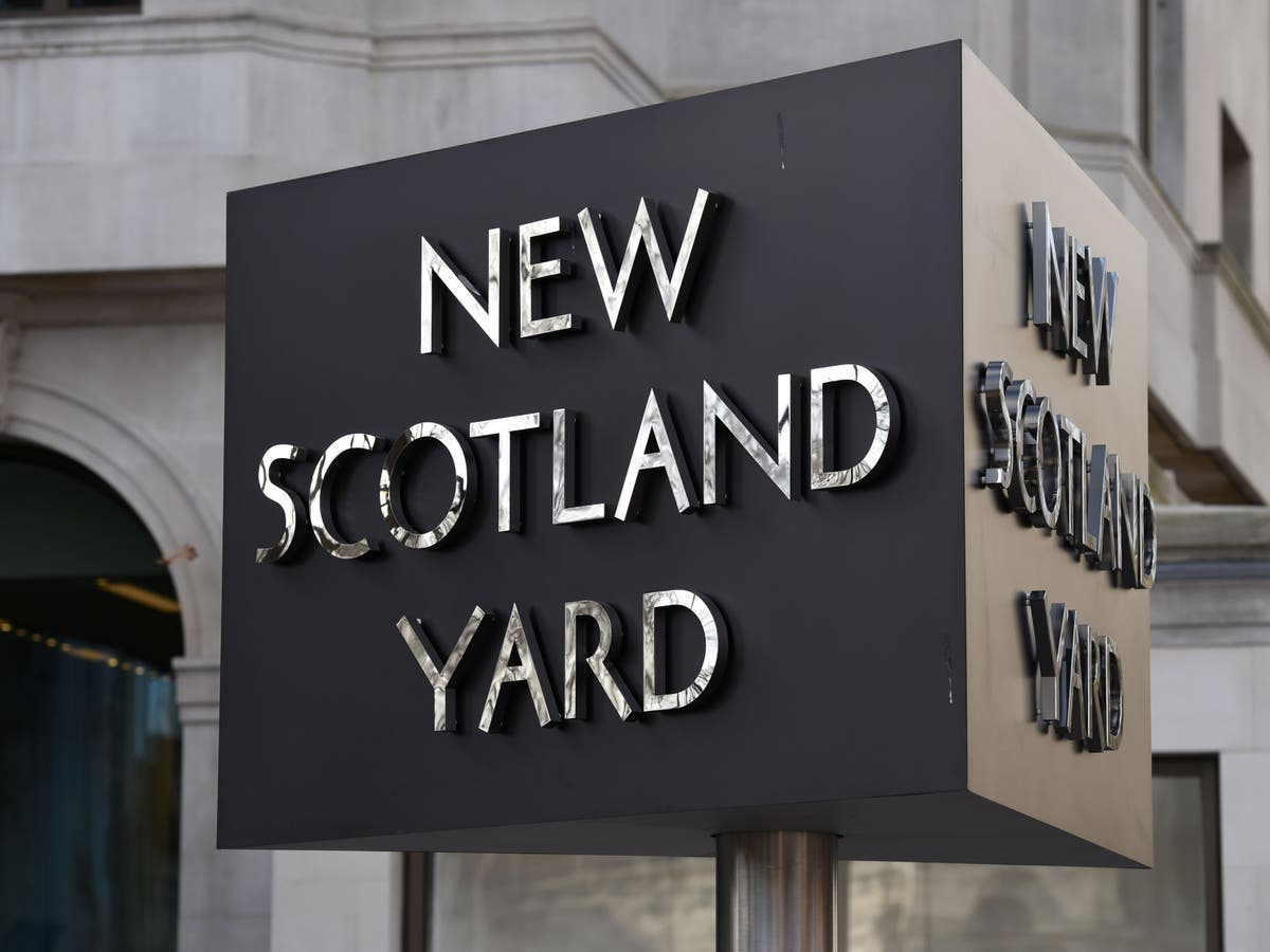 Serving Met Police officer pleads guilty to sexual communication with ...