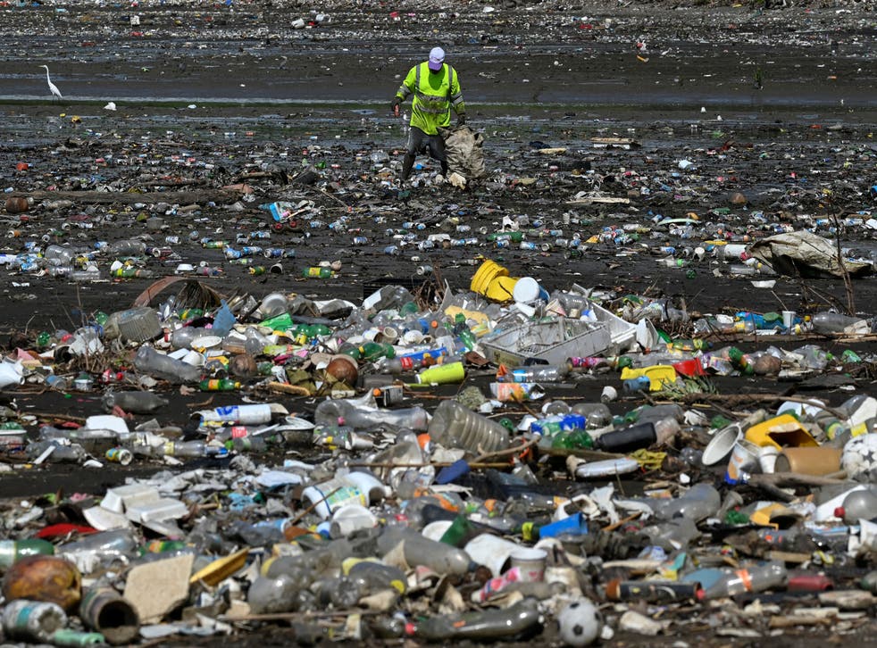 <p>A man collects garbage, including plastic waste, at the beach of Costa del Este, in Panama City, on 19 April</p>