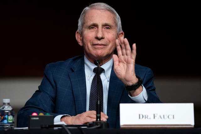<p>Dr Anthony Fauci, White House Chief Medical Advisor and Director of the NIAID during Senate Health, Education, Labor and Pensions Committee hearing on 11 January 2022</p>