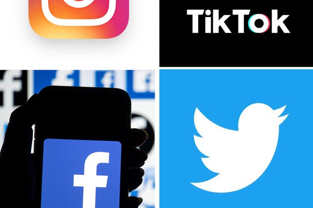 Instagram and TikTok were among the social media platforms being grilled by the Commons committee (PA)