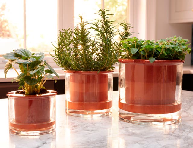 Homes-Gardening-Indoor Containers