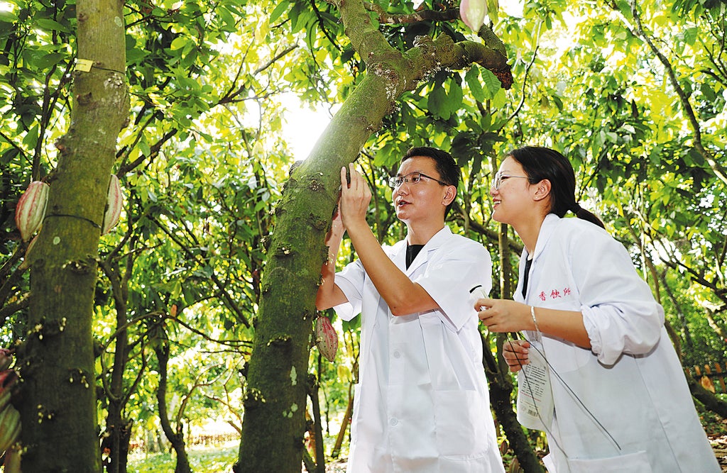 Hainan makes its mark with premier chocolate 