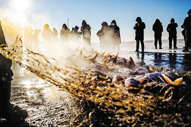 <p>Fishers work together to catch fish on the frozen Chagan Lake on 28 December 2021</p>