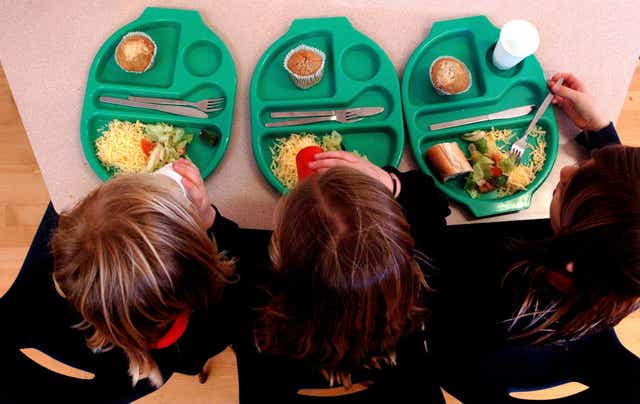 <p>Unions and charities have called for free school meals to be expanded to all families on Universal Credit (Chris Radburn/PA)</p>