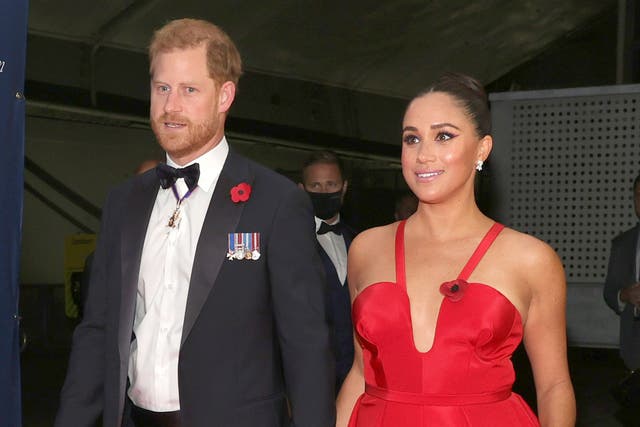 <p>‘One can understand his personal worries of the Duke and Duchess of Sussex, but it doesn’t entitle them to special access to the services we all depend on’</p>