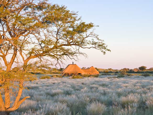 <p>Kalahari Red Dunes</p>