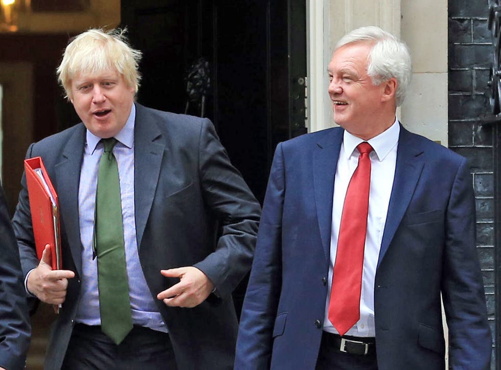 <p>Boris Johnson and David Davis </p>