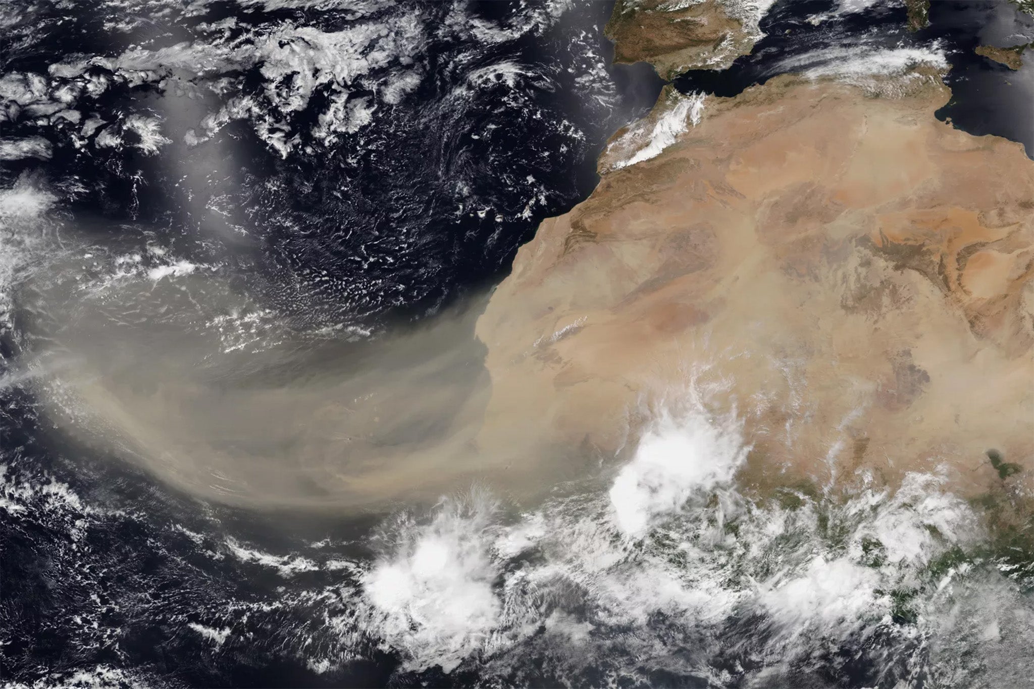 Dust plume in June 2020 blows west over the Atlantic Ocean from the Sahara