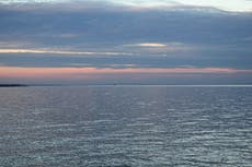 Increase in marine heatwaves threatens coastal habitats, report says