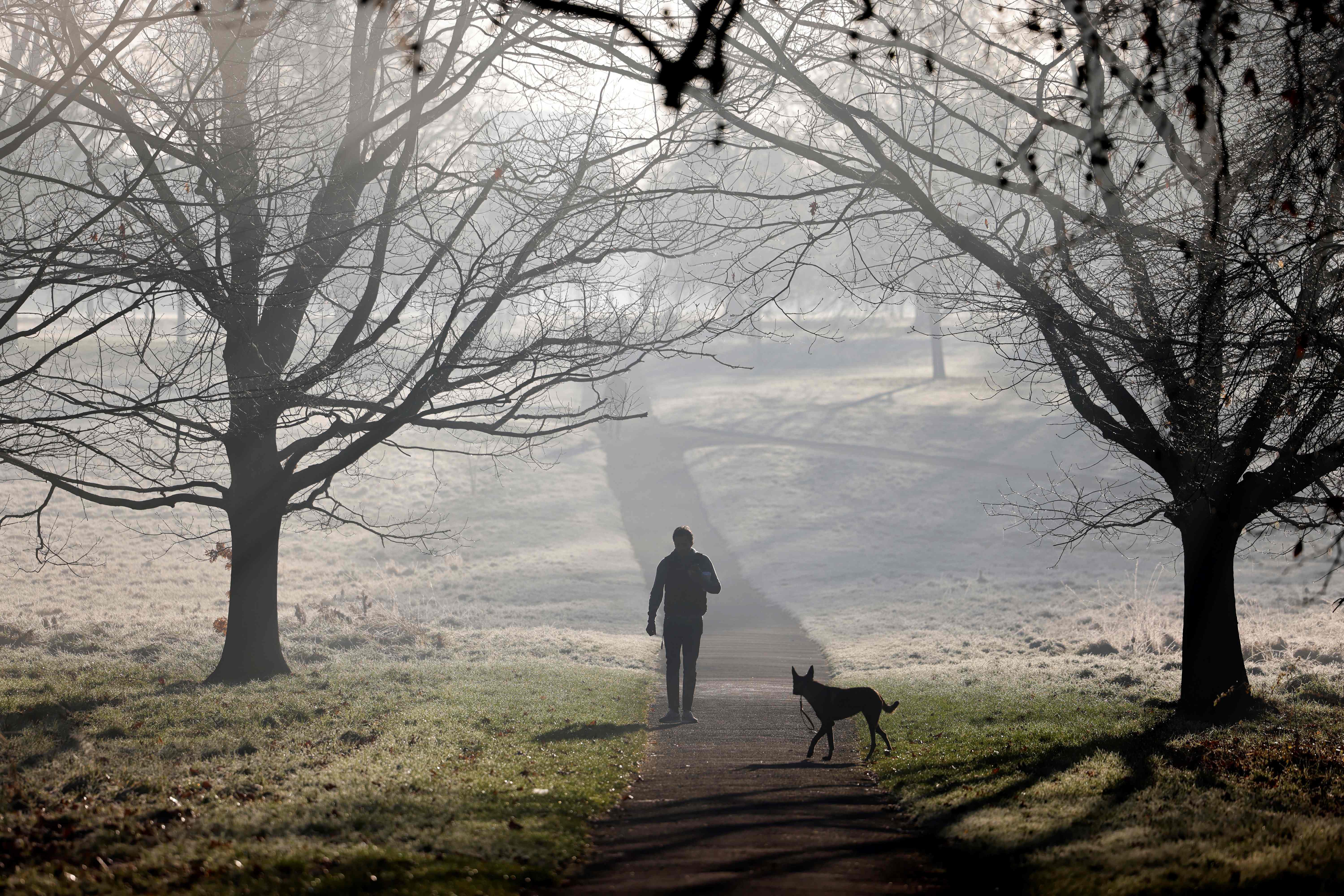 A dog walker out in Hyde Park on Thursday morning amid widespread frost across London.
