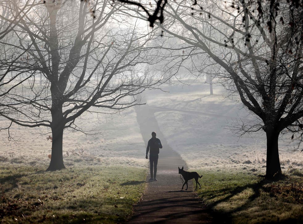 <p>A dog walker out in Hyde Park on Thursday morning amid widespread frost across London. </p>