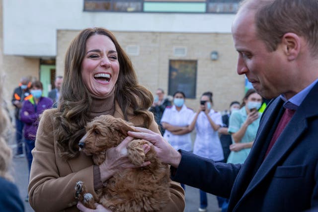 <p>The Duke and Duchess of Cambridge meet 10-week-old Alfie</p>